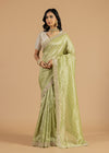 Pastel Pistachio Organza Tissue Saree
