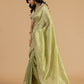 Pastel Pistachio Organza Tissue Saree