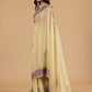 Champagne Floral Organza Saree